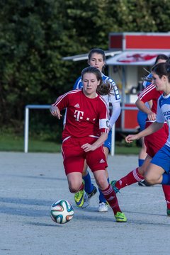 Bild 391 - Frauen SV Wahlstedt - Bramstedter TS : Ergebnis: 12:0